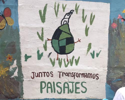 Juntos transformamos paisajes